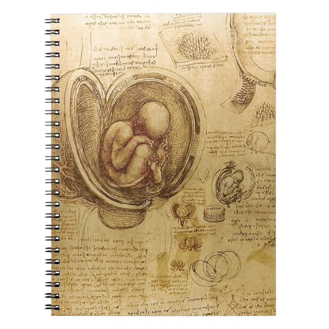 Study of baby foetus by Leonardo da Vinci Notebook (Front)