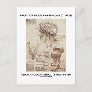Study Of Brain Physiology (Leonardo da Vinci 1508) Postcard