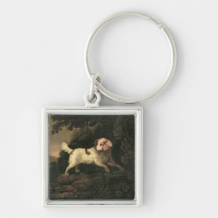 Study of Clumber Spaniel Key Ring