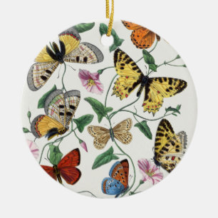 Study of diurnal butterflies by Paul Gervais Ceramic Ornament