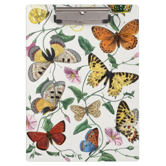 Study of diurnal butterflies by Paul Gervais Clipboard (Front)