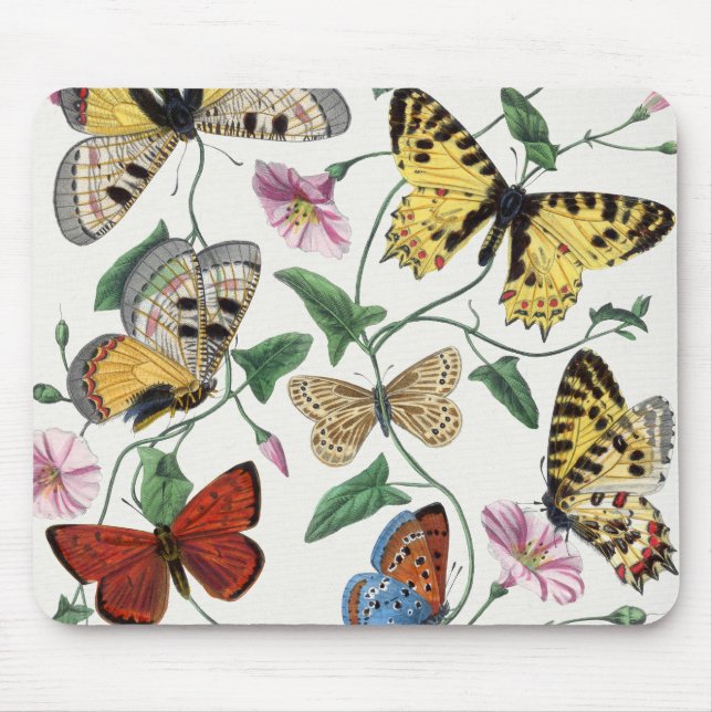 Study of diurnal butterflies by Paul Gervais  Mouse Pad (Front)