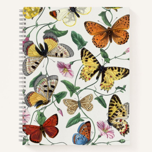 Study of diurnal butterflies by Paul Gervais Notebook (Front)