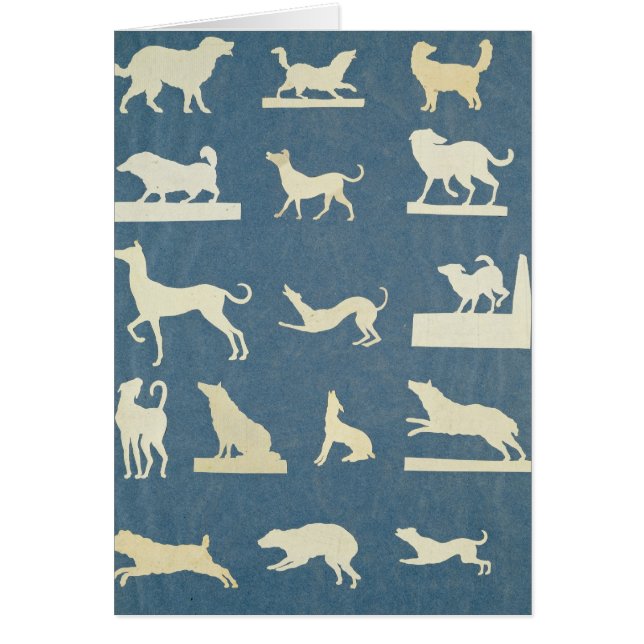 Study of Dogs (Front)