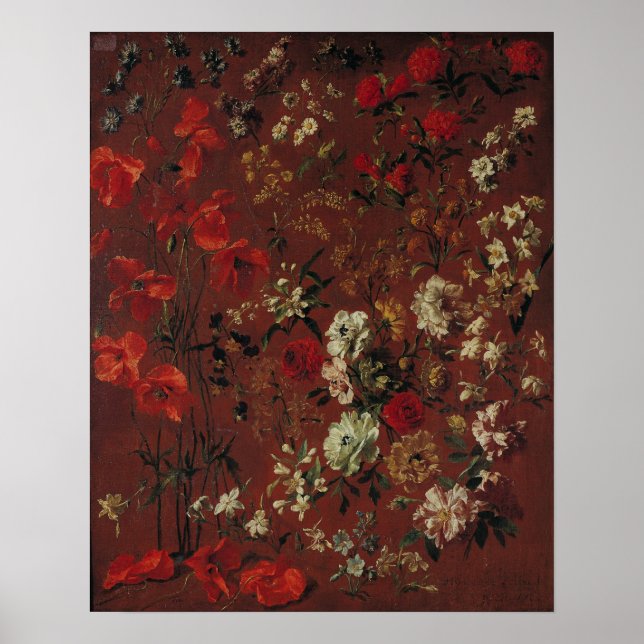 Study of Flowers, 1720 Poster (Front)
