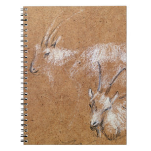 Study of Goats (drawing) Notebook