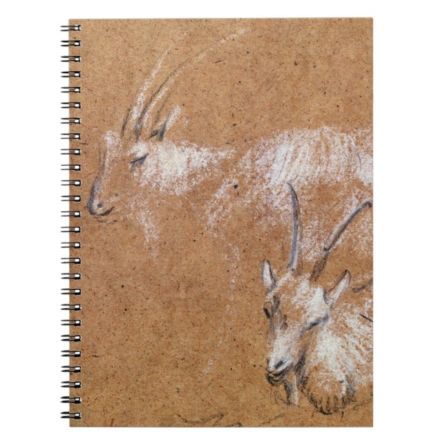 Study of Goats (drawing) Notebook (Front)