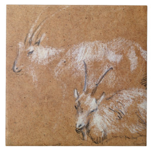Study of Goats (drawing) Tile
