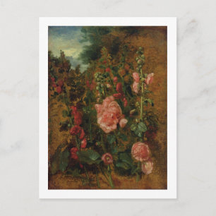 Study of Hollyhocks, c.1826 (oil on board) Postcard