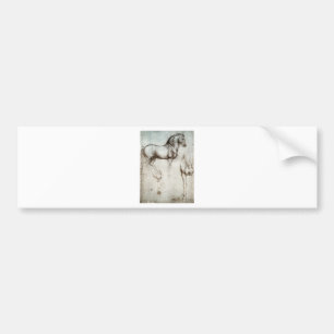 Study of horse. bumper sticker