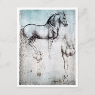 Study of Horse, Leonardo da Vinci Postcard