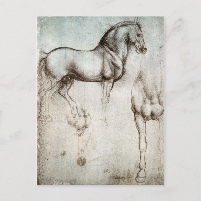 Study of horses - Leonardo da Vinci Postcard (Front)
