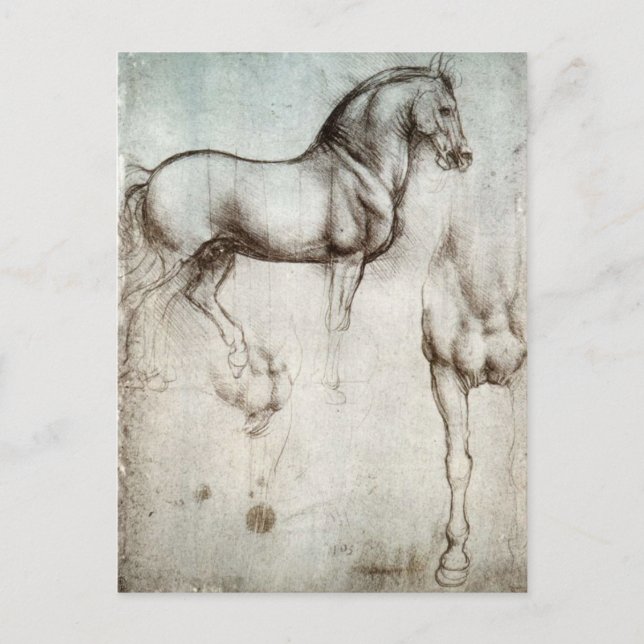 Study of horses - Leonardo da Vinci Postcard (Front)
