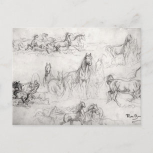 Study of Horses Postcard