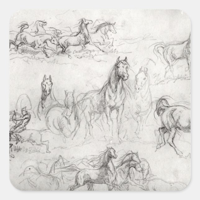 Study of Horses Square Sticker (Front)