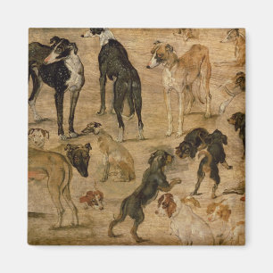 Study of Hounds, 1616 Magnet