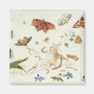 Study of Insects and Flowers Magnet