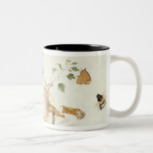 Study of Insects and Flowers Two-Tone Coffee Mug