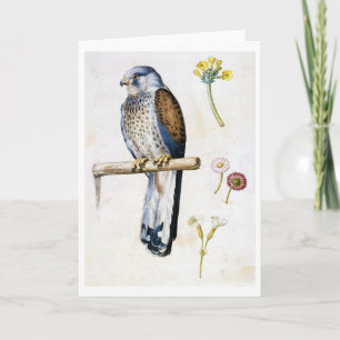 Study of Lesser Kestrel and Flower, Arcimboldo Card