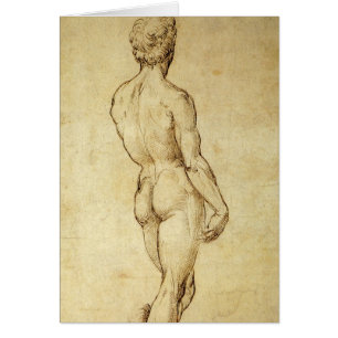 Study of Michelangelo's David Statue by Raphael