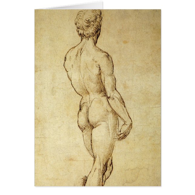 Study of Michelangelo's David Statue by Raphael (Front)