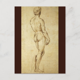 Study of Michelangelo's David Statue by Raphael Postcard