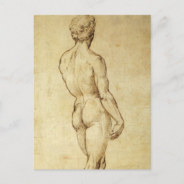 Study of Michelangelo's David Statue by Raphael Postcard (Front)