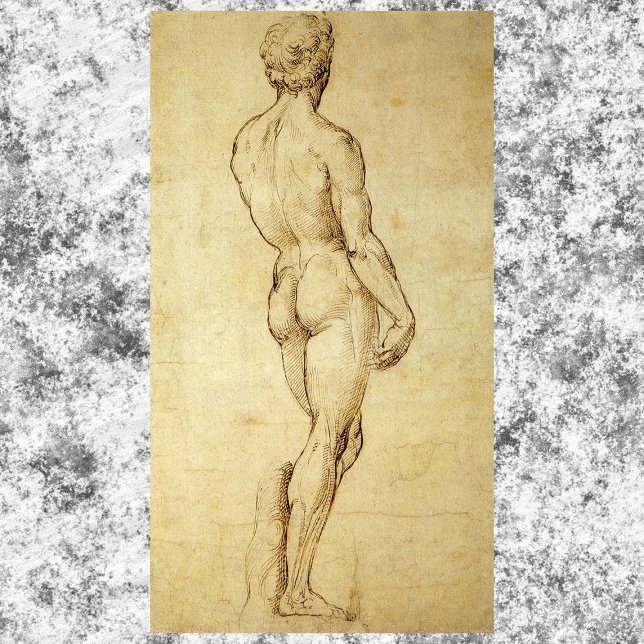 Study of Michelangelo's David Statue by Raphael Poster (Creator Uploaded)