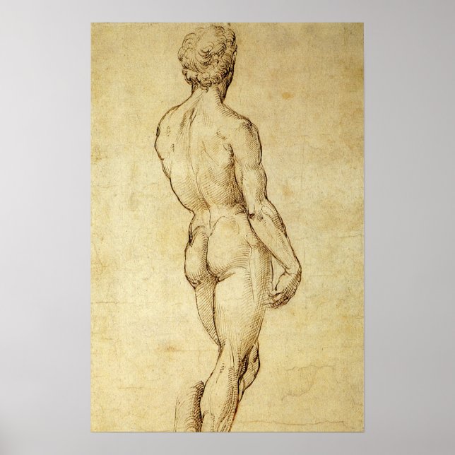 Study of Michelangelo's David Statue by Raphael Poster (Front)