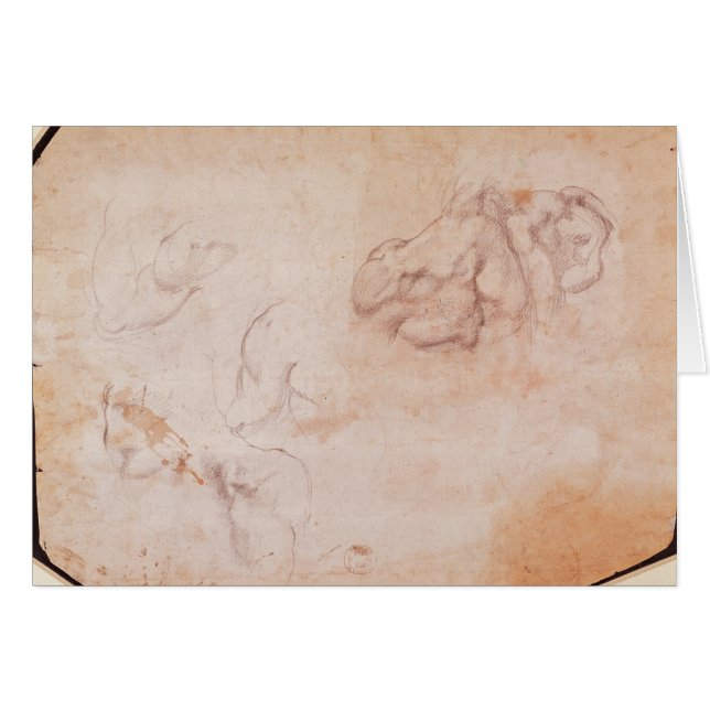 Study of Muscles (Front Horizontal)