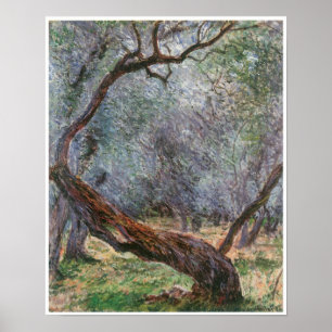 Study of Olive Trees, 1884 Poster