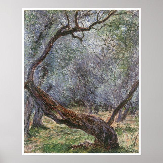 Study of Olive Trees, 1884 Poster (Front)
