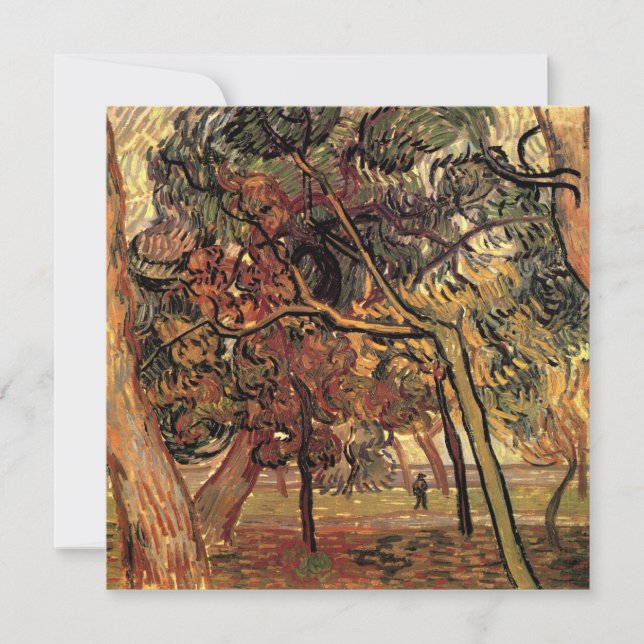 Study of Pine Trees by Vincent van Gogh (Front)