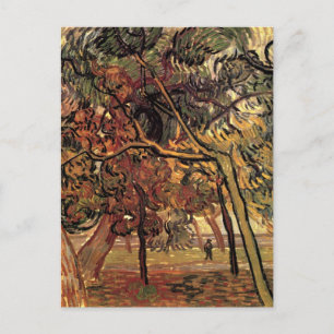 Study of Pine Trees by Vincent van Gogh Postcard