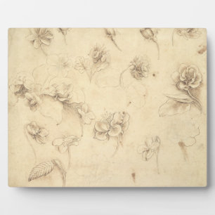 Study of the Flowers of Grass-like Plants (Briza M Plaque