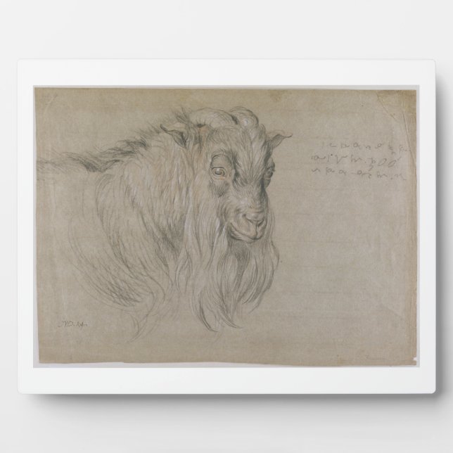 Study of the Head of a Ram (black, sanguine & whit Plaque (Front)