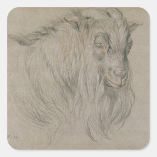 Study of the Head of a Ram (black, sanguine & whit Square Sticker