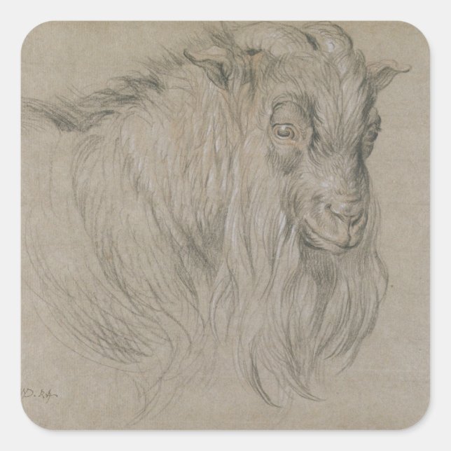 Study of the Head of a Ram (black, sanguine & whit Square Sticker (Front)