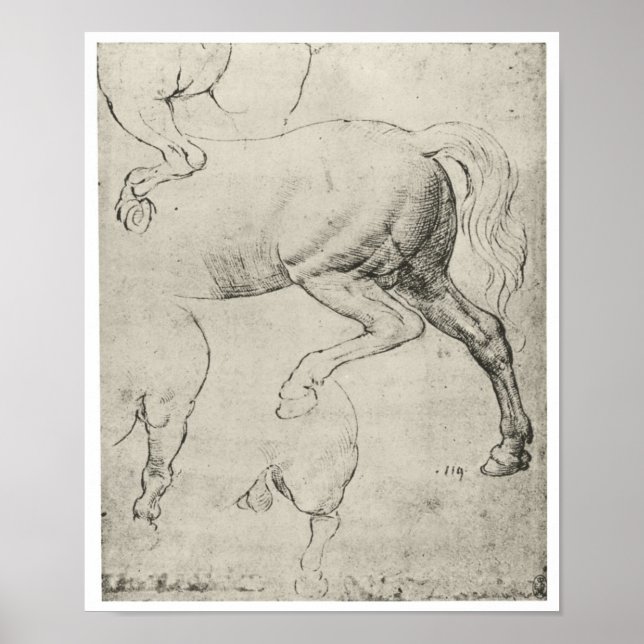 Study of the Hindquarters of a Horse, Da Vinci Poster (Front)