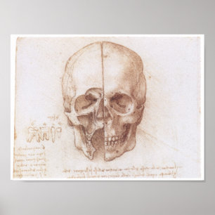 Study of the Human Skull, Leonardo da Vinci Poster