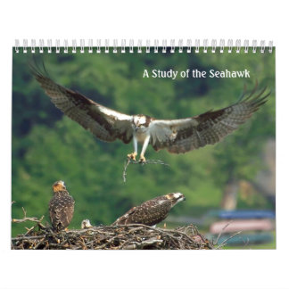 Study of the Seahawk Calendar