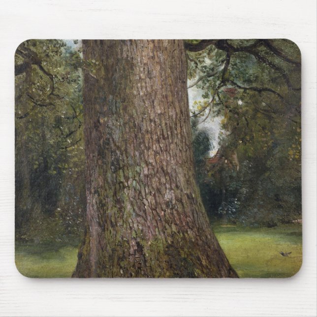 Study of the Trunk of an Elm Tree, c.1821 (oil on Mouse Pad (Front)