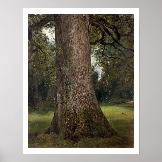 Study of the Trunk of an Elm Tree, c.1821 (oil on Poster (Front)