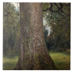 Study of the Trunk of an Elm Tree, c.1821 (oil on Tile