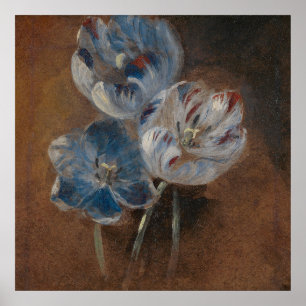 Study of Three Parrot Tulips (Attrib. Constable) Poster