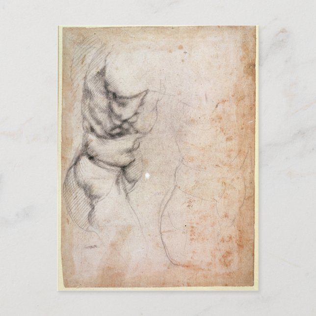 Study of torso and buttock postcard (Front)