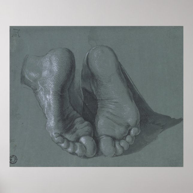 Study of Two Feet by Albrecht Durer Poster (Front)