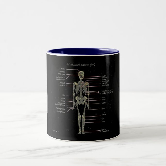 Study Them Bones... Two-Tone Coffee Mug (Center)