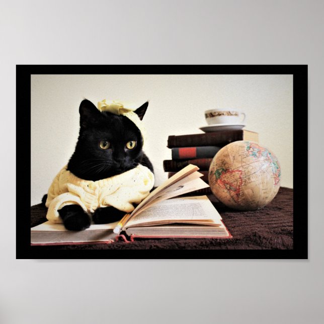 Study Time  Poster (Front)