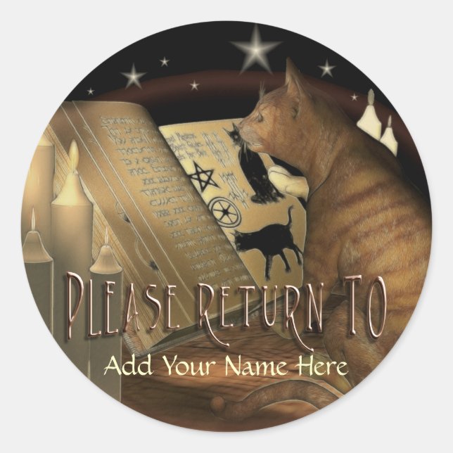 Studying Cat Lessons Bookplate Classic Round Sticker (Front)